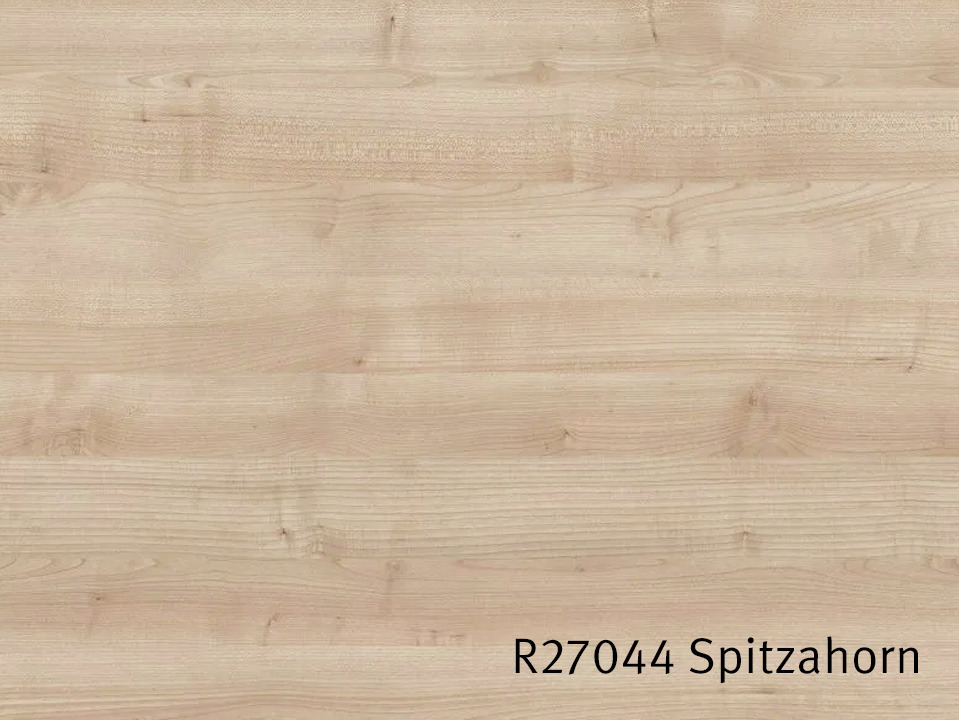 R27044_Spitzahorn.jpg