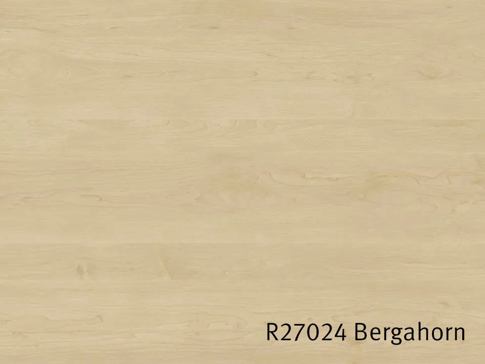 R27024_Bergahorn.jpg
