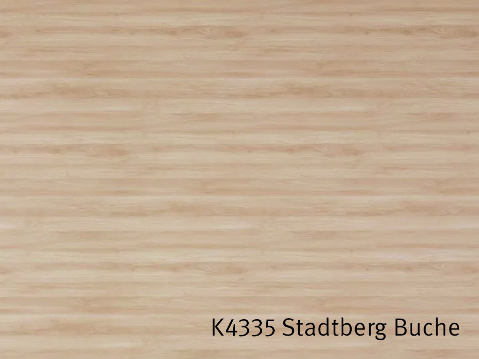 K4335_Stadtberg_Buche.jpg