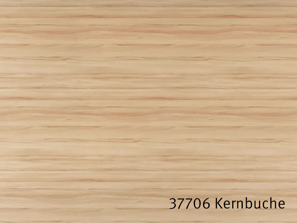 37706_Kernbuche.jpg