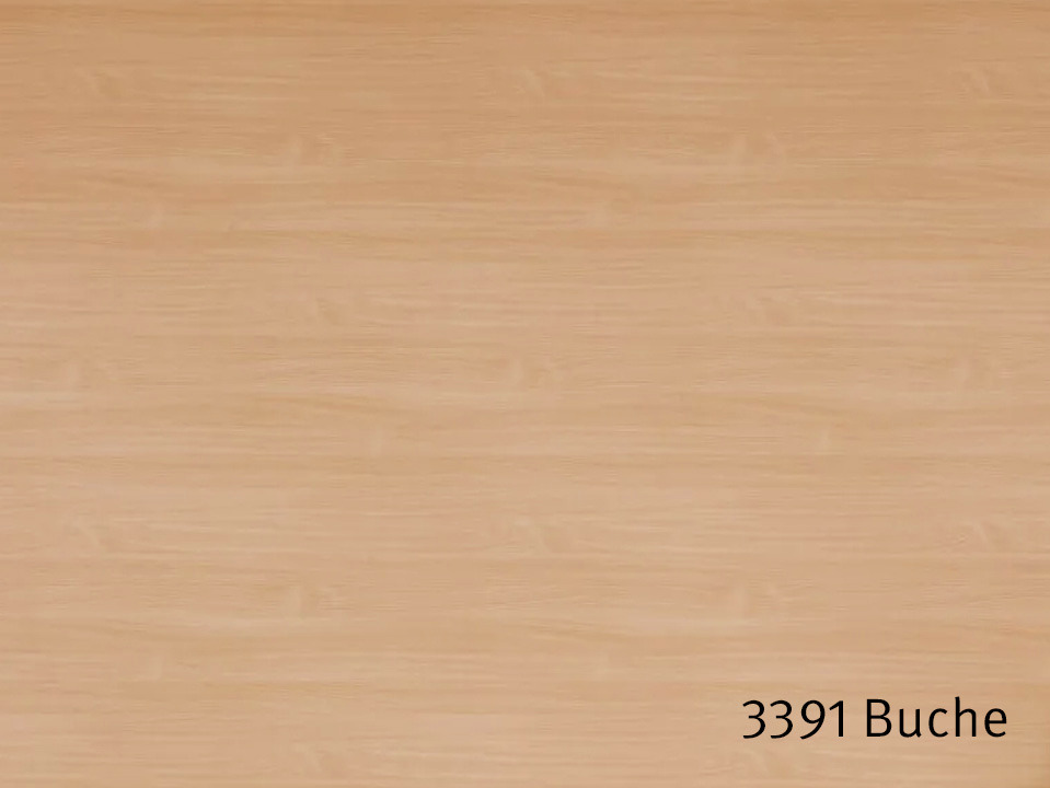 3391_Buche.jpg