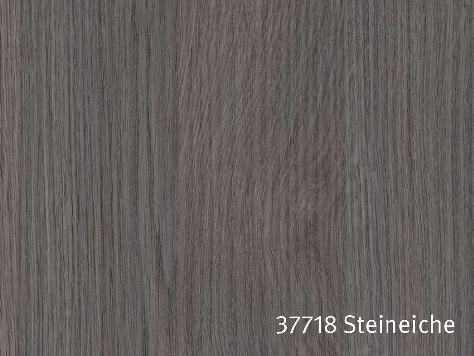 37718_Steineiche.jpg
