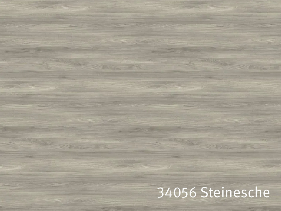 34056_Steinesche.jpg