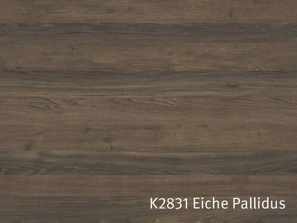 K2831_Eiche_Pallidus.jpg