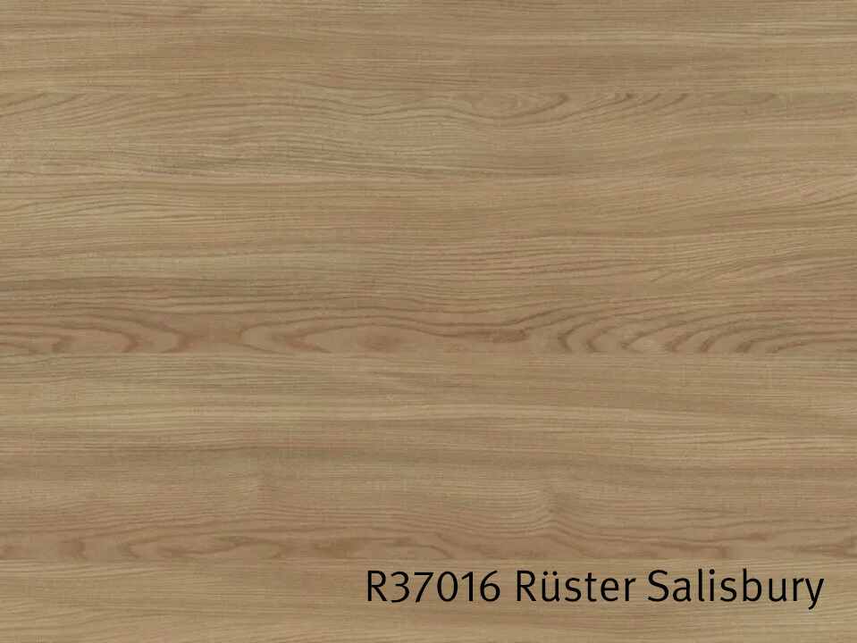 R37016_Rüster_Salisbury.jpg