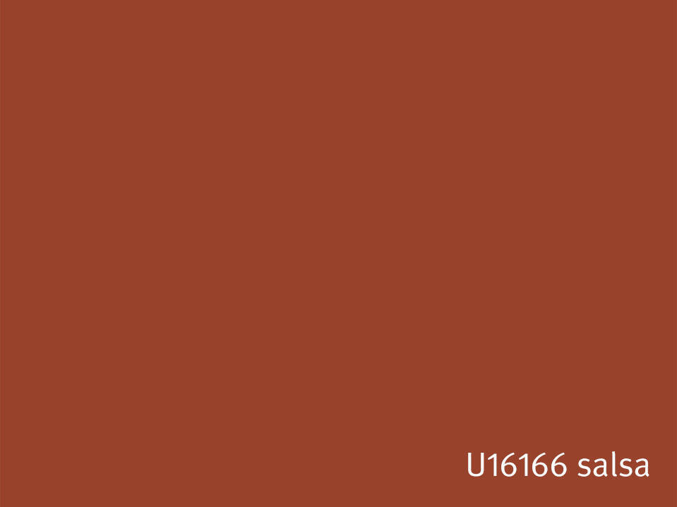 U16166-salsa.JPG.jpg