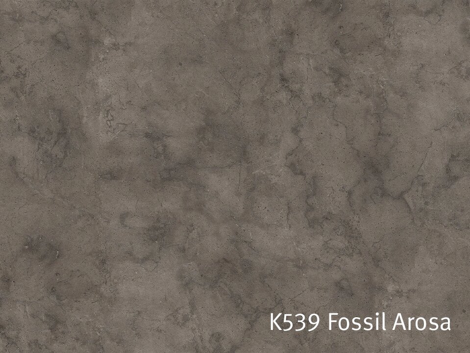 K539_fossil-arosa.jpg