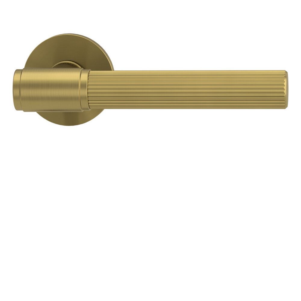 VAYA-136-ARIS-f2f-OS-Gold-matt-01_136912821_01.jpg