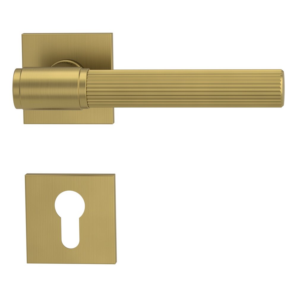 VAYA-136-ARIS-eckig-f2f-PZ-Gold-matt_136940221_01.jpg