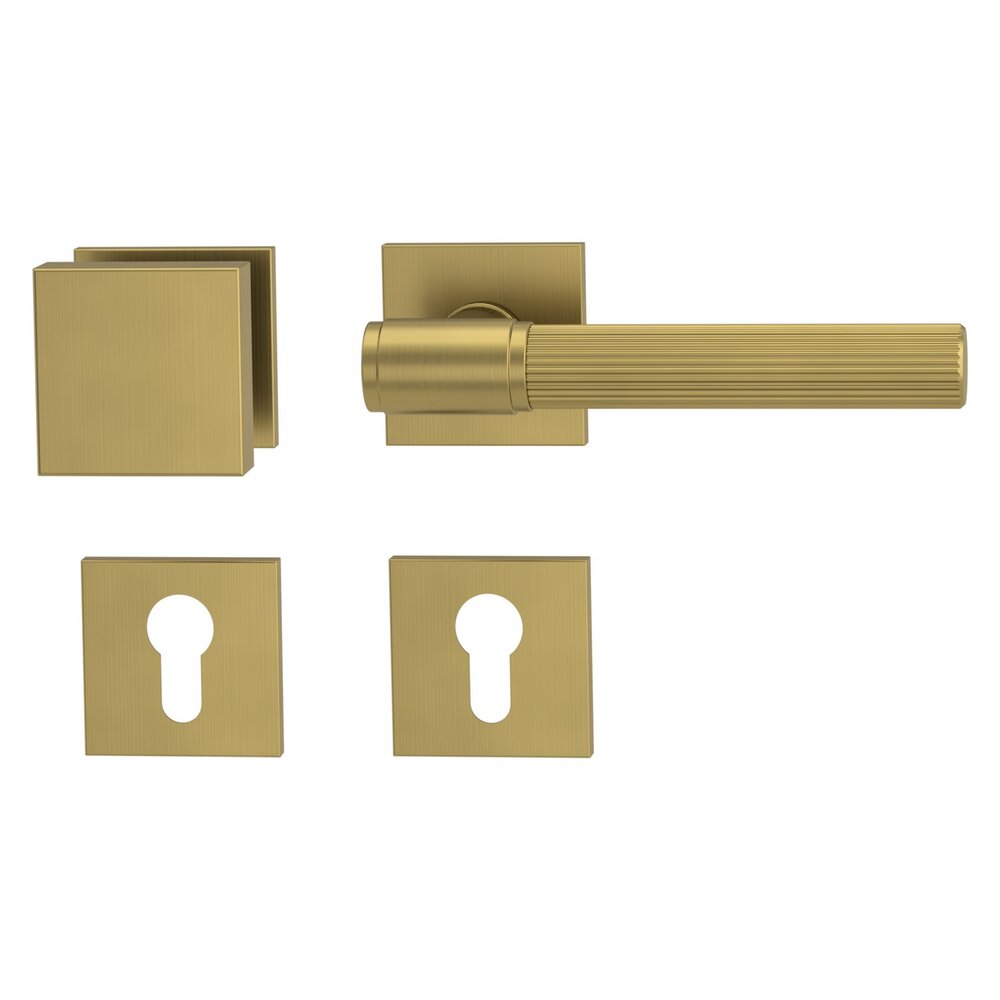 VAYA-136-ARIS-eckig-f2f-Wechsel-re-Knopf-Square-Gold-matt_136940621_01.jpg