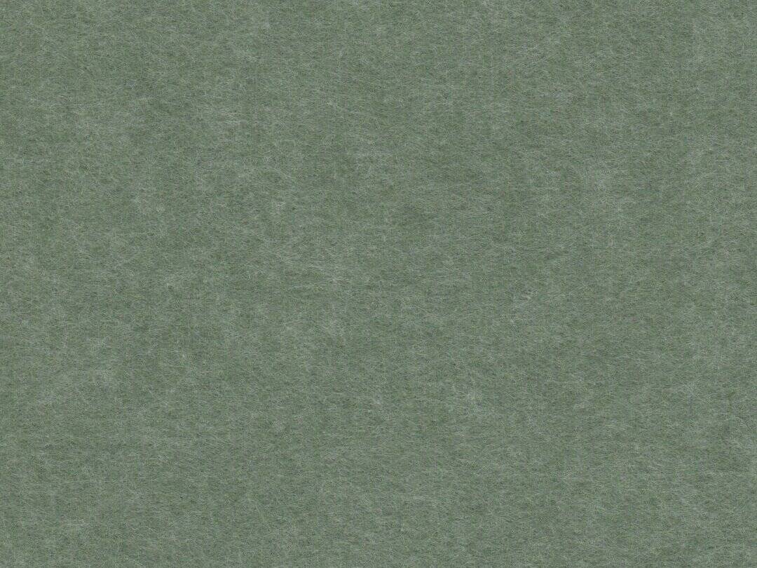 31_basil_24mm.jpg