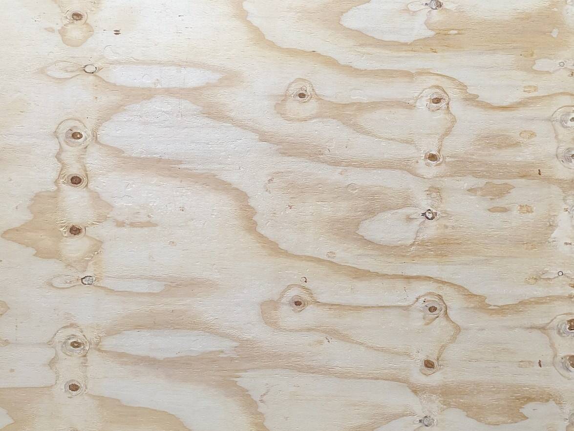 Furnierplatten - Multiplex