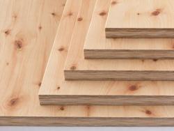 Dreischichtplatten Nadelholz